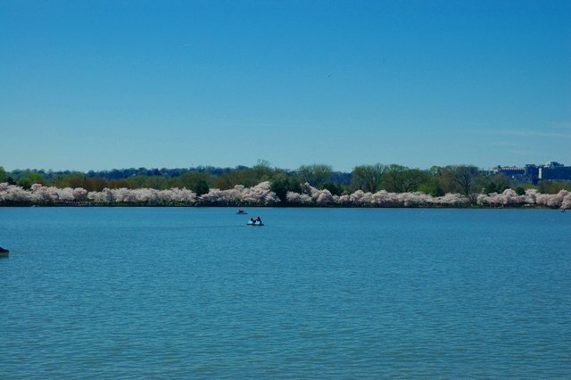 Panormama of the Tidal Basin